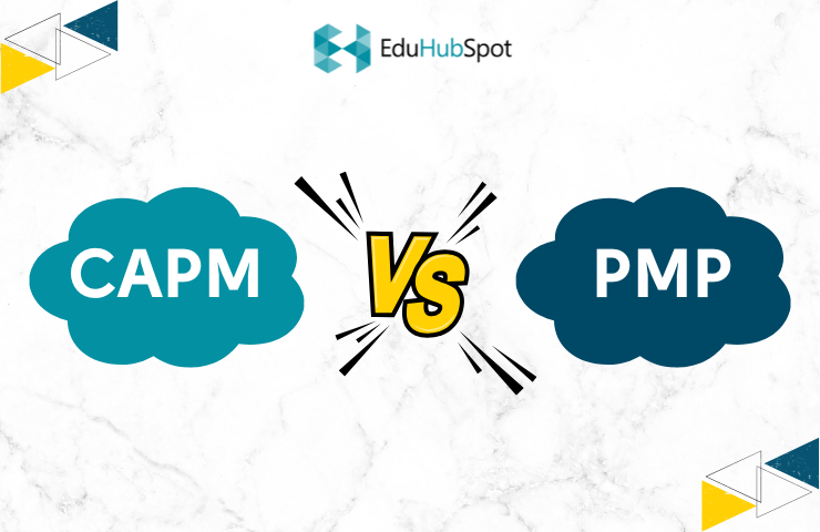 Which Ones' Better: CAPM or PMP?