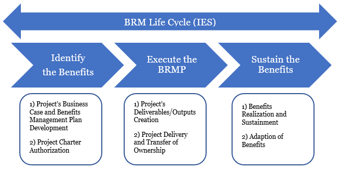 Key PMI Implementing Benefits Realization Approach Elements