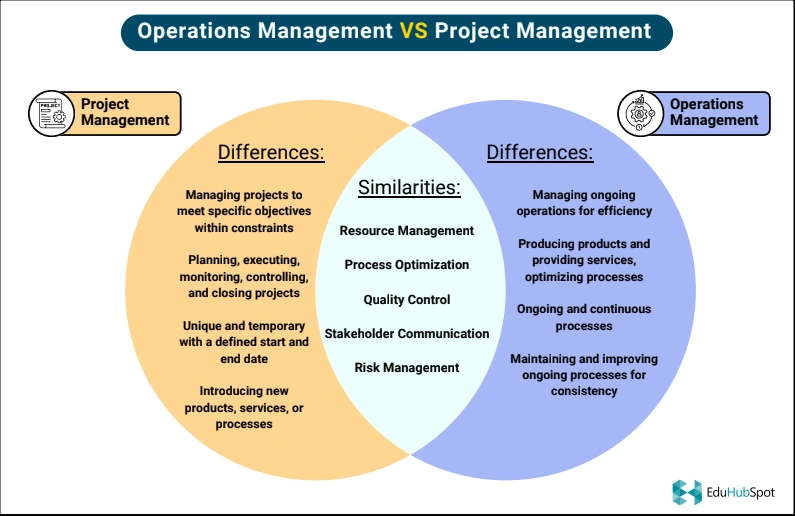 The Essence of Project Production Principles