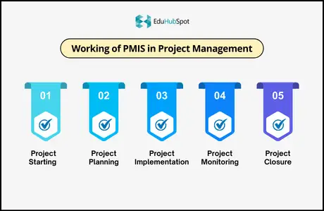 Working of PMIS in Project Management